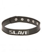 X Play Slave Collar