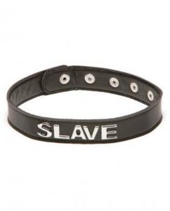 X Play Slave Collar