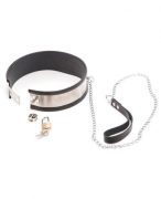Steel Band Collar With Leash Large