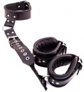 Rouge Leather Neck To Wrist Restraint Black