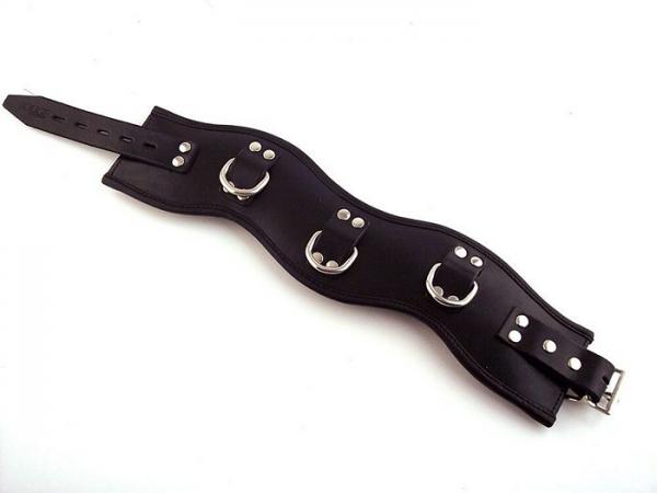 Rouge Leather Padded Posture Collar 3 Ring Black