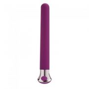 10 Function Risque Slim Purple Vibrator
