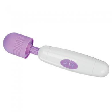 Danae Hand Held Massager