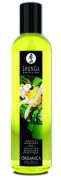 Shunga Organica Erotic Massage Oil Exotic Green Tea 8oz